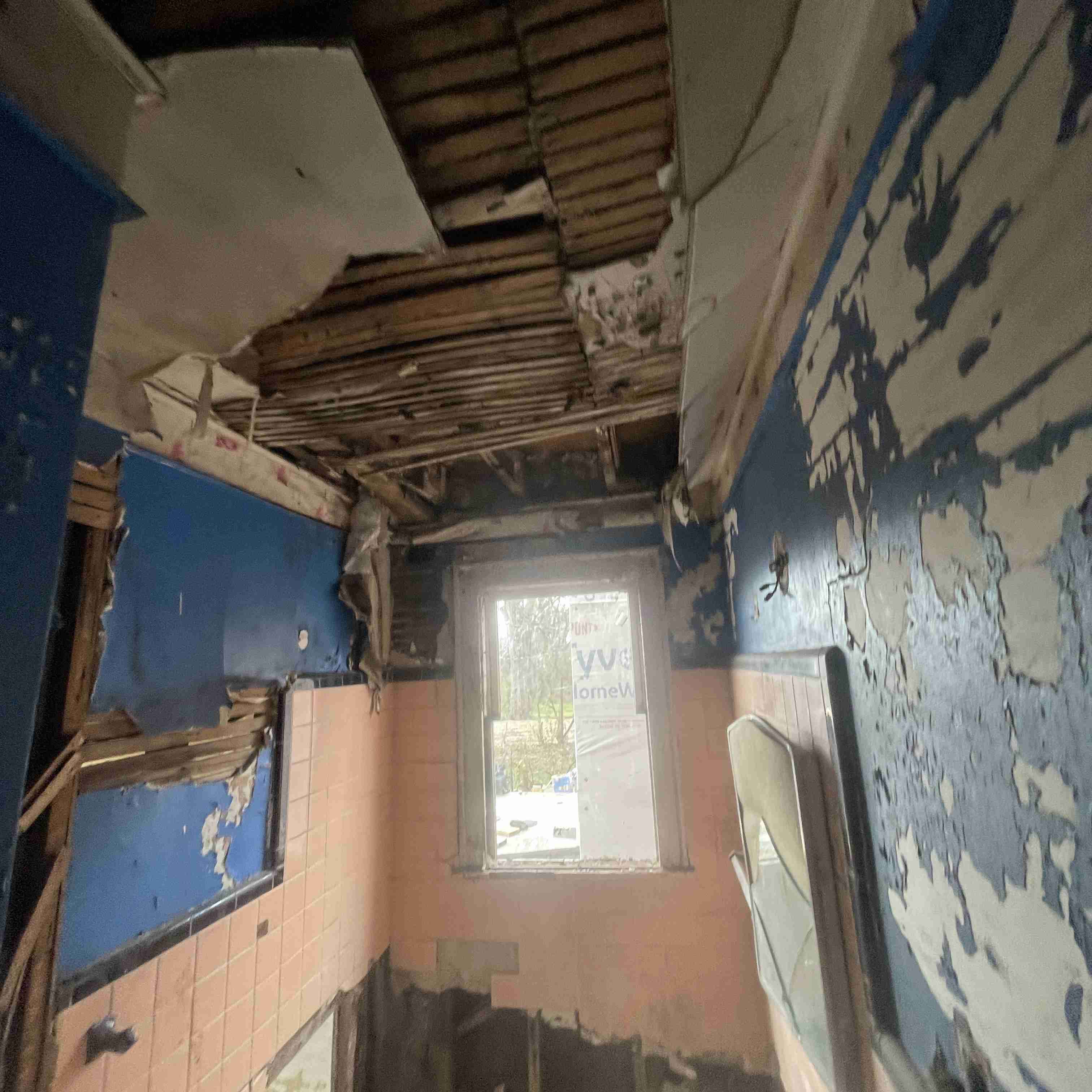 4039 Tuxedo (72).jpg